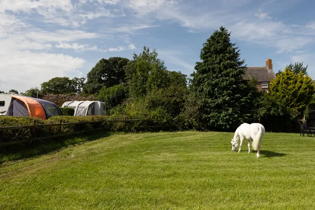 Hunters Hamlet - Photo 10