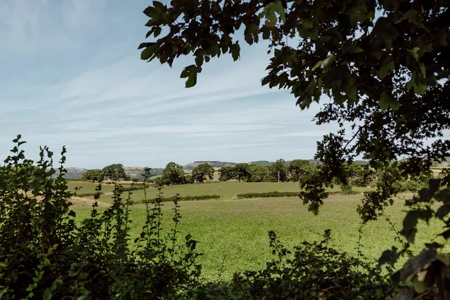 Hunters Hamlet - Photo 3