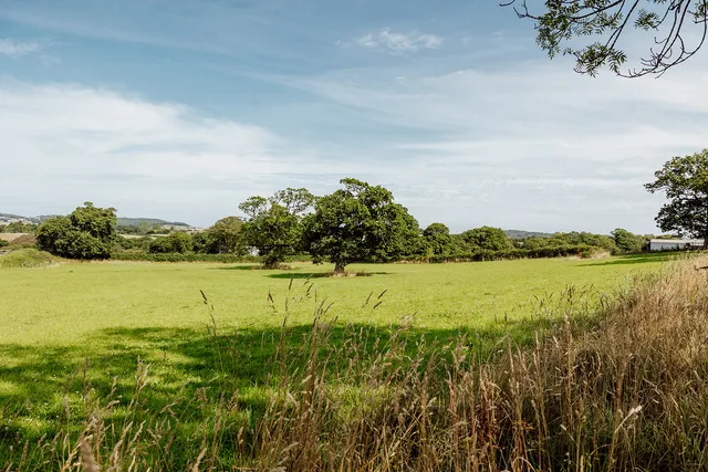 Hunters Hamlet - Photo 9